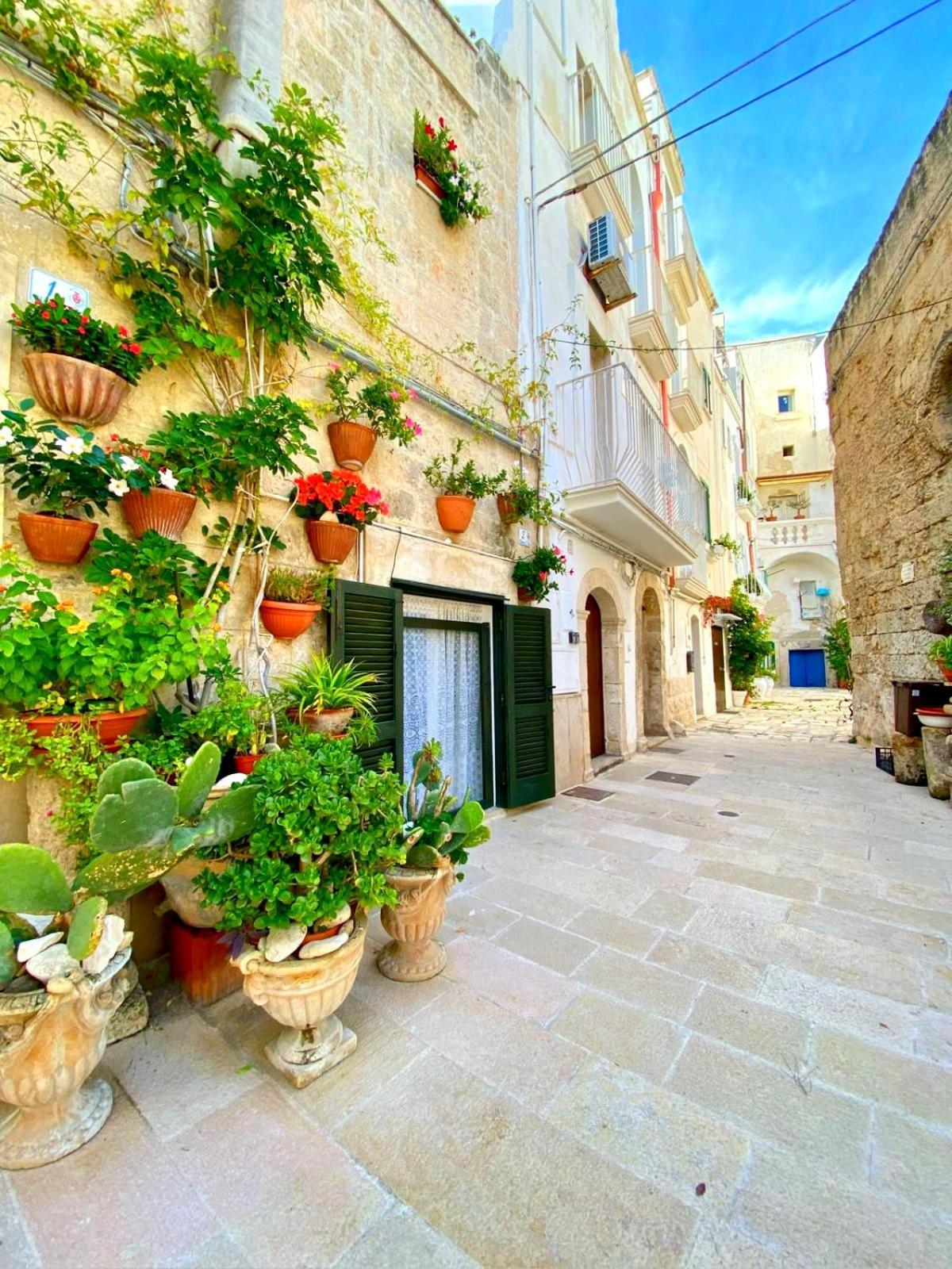 Iaru-Bed Experience House Apartment Alberobello Exterior photo