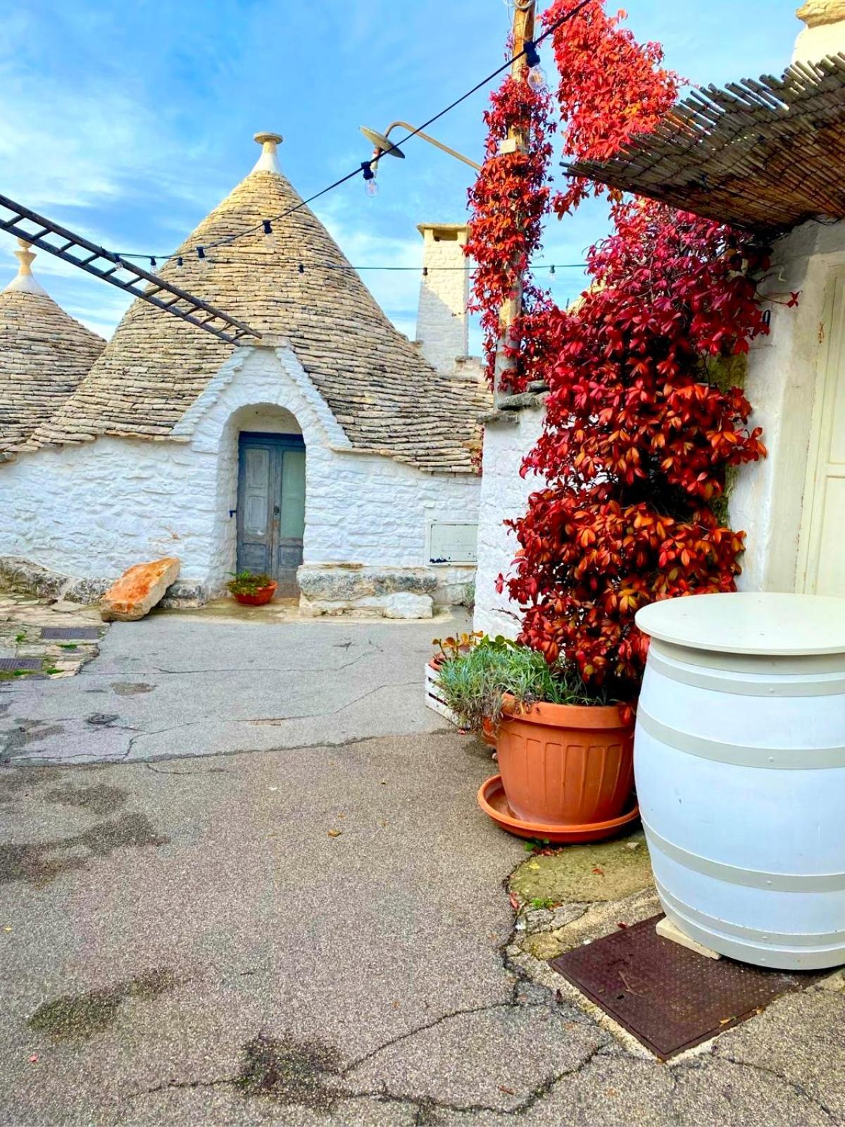 Iaru-Bed Experience House Apartment Alberobello Exterior photo